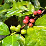 อมก๋อยรีสอร์ท