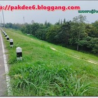 โครงการชลประทานเชียงใหม่ สันเขื่อน700ปี