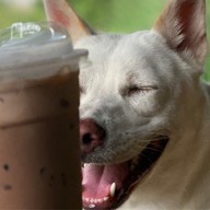 แซนด์วิชคุณเต้ย