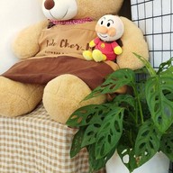 Cake Cher_m Bakery Homemade