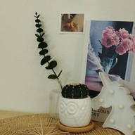 Cake Cher_m Bakery Homemade