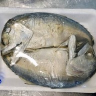 เจ้ปุ้มปลาทูแม่กลอง 100% ตลาดเทศบาลเมืองชุมพร