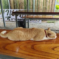 บรรยากาศ บ้านชายเขา
