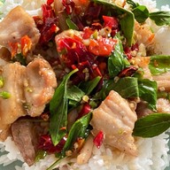 ร้าน น้องเฟิร์น