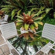 หลง พัทลุง