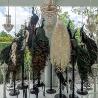 หลง พัทลุง