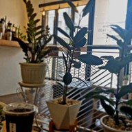 Drip54 Cafe ดริป54คาเฟ่