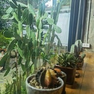 บรรยากาศ P’ LOFT Coffee