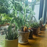 บรรยากาศ P’ LOFT Coffee