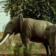 Dinosaur Kingdom The Mall Korat