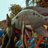 Dinosaur Kingdom The Mall Korat