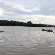 คาเฟ่ริมน้ำบางประกง สาวหวานบ้านใหม่