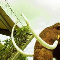Dinosaur Kingdom The Mall Korat