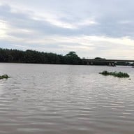 คาเฟ่ริมน้ำบางประกง สาวหวานบ้านใหม่