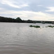 คาเฟ่ริมน้ำบางประกง สาวหวานบ้านใหม่