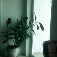 Hello coffee & bakery