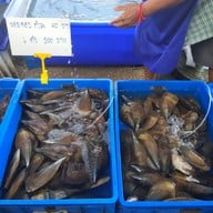 บรรยากาศ ซาชิมิ หาดลับ