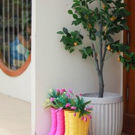 HUUS' OF COCO / เฮ้าส์ ออฟ โคโค่ คาเฟ่ CAFE