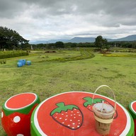 Sugavia Healthy Land Cafe