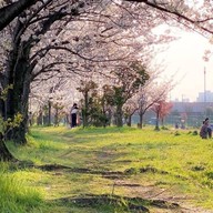 ครัวTHE CAMP