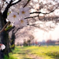 ครัวTHE CAMP