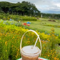 Sugavia Healthy Land Cafe