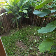 บรรยากาศ Antika Cafe