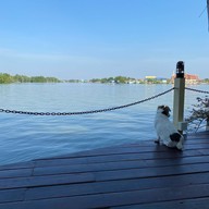 บ้านพักริมน้ำศิริพร บางตะบูน