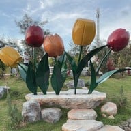Khao Yai Art Tree