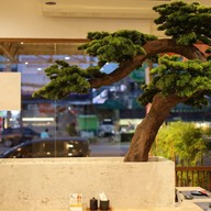 ชานัน เจแปนนีส คุยซีน สาริน