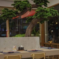 ชานัน เจแปนนีส คุยซีน สาริน