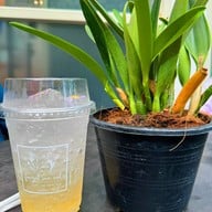 เมนูของร้าน Forget Me Not