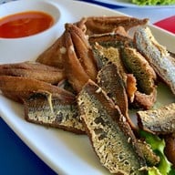 ทะเลทอง