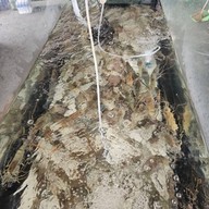 เทียน-ทะเลบุฟเฟ่ต์หมูกระทะกุ้งเผา เทียน-ทะเลบุฟเฟ่ต์หมูกระทะกุ้งเผา