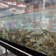 เทียน-ทะเลบุฟเฟ่ต์หมูกระทะกุ้งเผา เทียน-ทะเลบุฟเฟ่ต์หมูกระทะกุ้งเผา