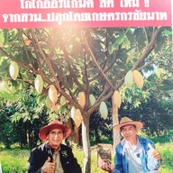 คราฟโกโก้#ชัยนาท