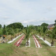 บรรยากาศ MezzoX Drip Cafe ยโสธร