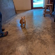 novembre.cafe โนเวมเบอร์ คาเฟ่