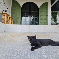 Gravité Coffee and Rooms