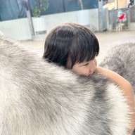 Sonata's siberian Cafe