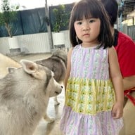 Sonata's siberian Cafe