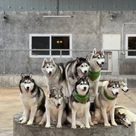 Sonata's siberian Cafe