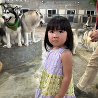 Sonata's siberian Cafe