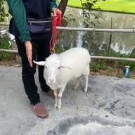 Du Bua Smartfarm