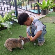 The Wild Swans Lake And Restaurant