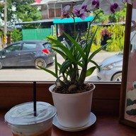 เมนูของร้าน Hahm. ฟ้าฮ่าม