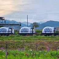 บ้านแม่กลางหลวง