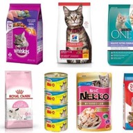 🐈98เพ็ทช้อป Pet shop สาขาONE