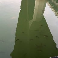 สวนสมเด็จพระศรีนครินทร์ นนทบุรี