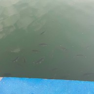 สวนสมเด็จพระศรีนครินทร์ นนทบุรี